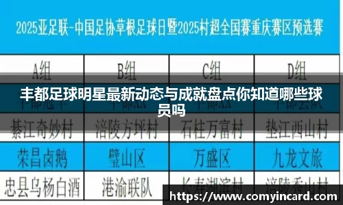 丰都足球明星最新动态与成就盘点你知道哪些球员吗